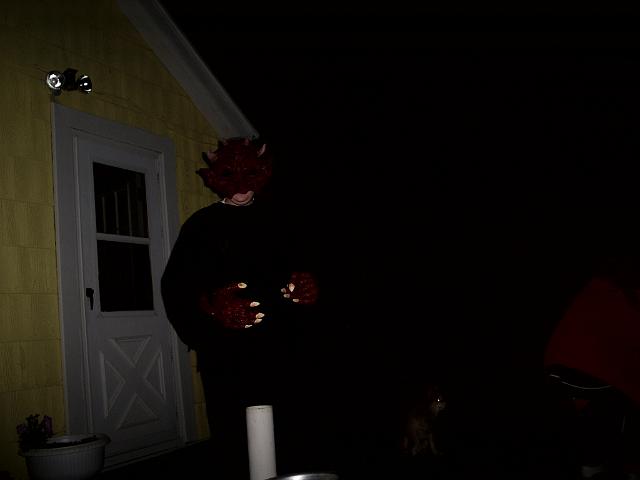 Picture 475.jpg